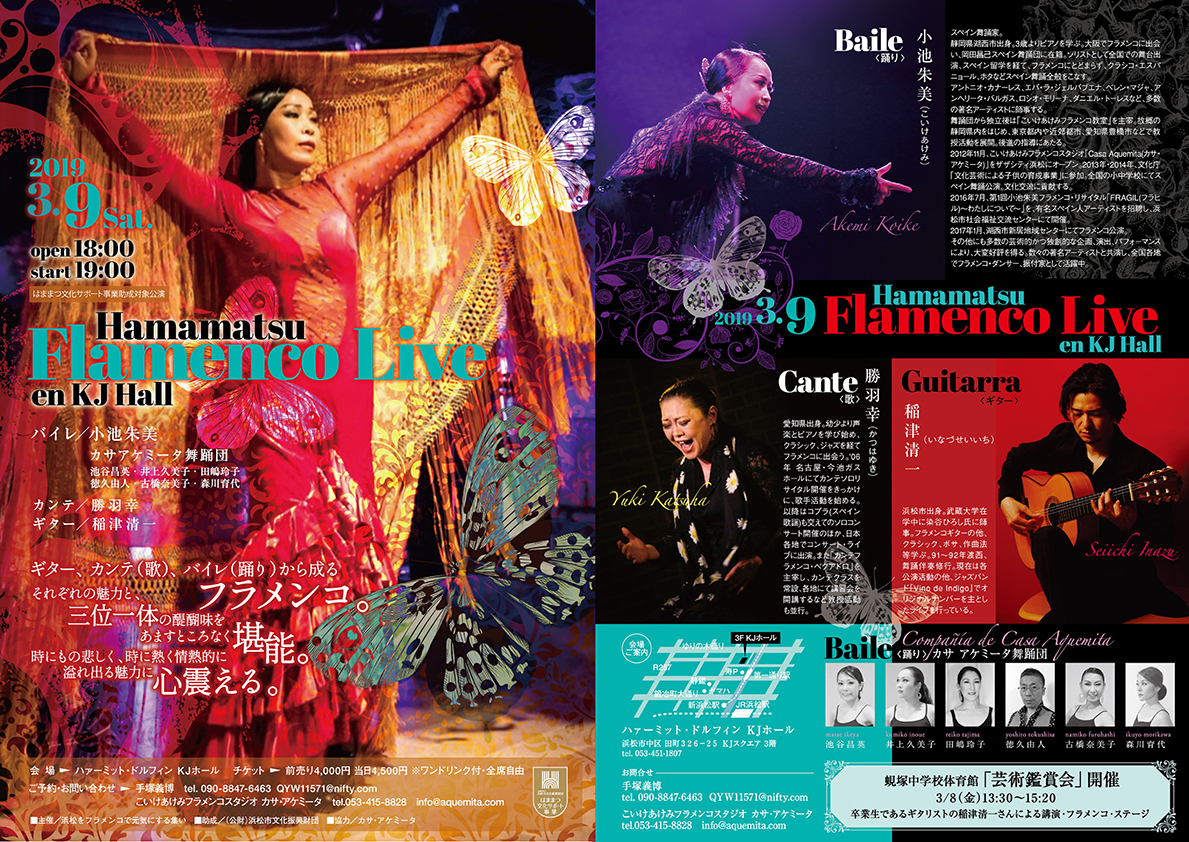 Hamamatsu Flamenco Live